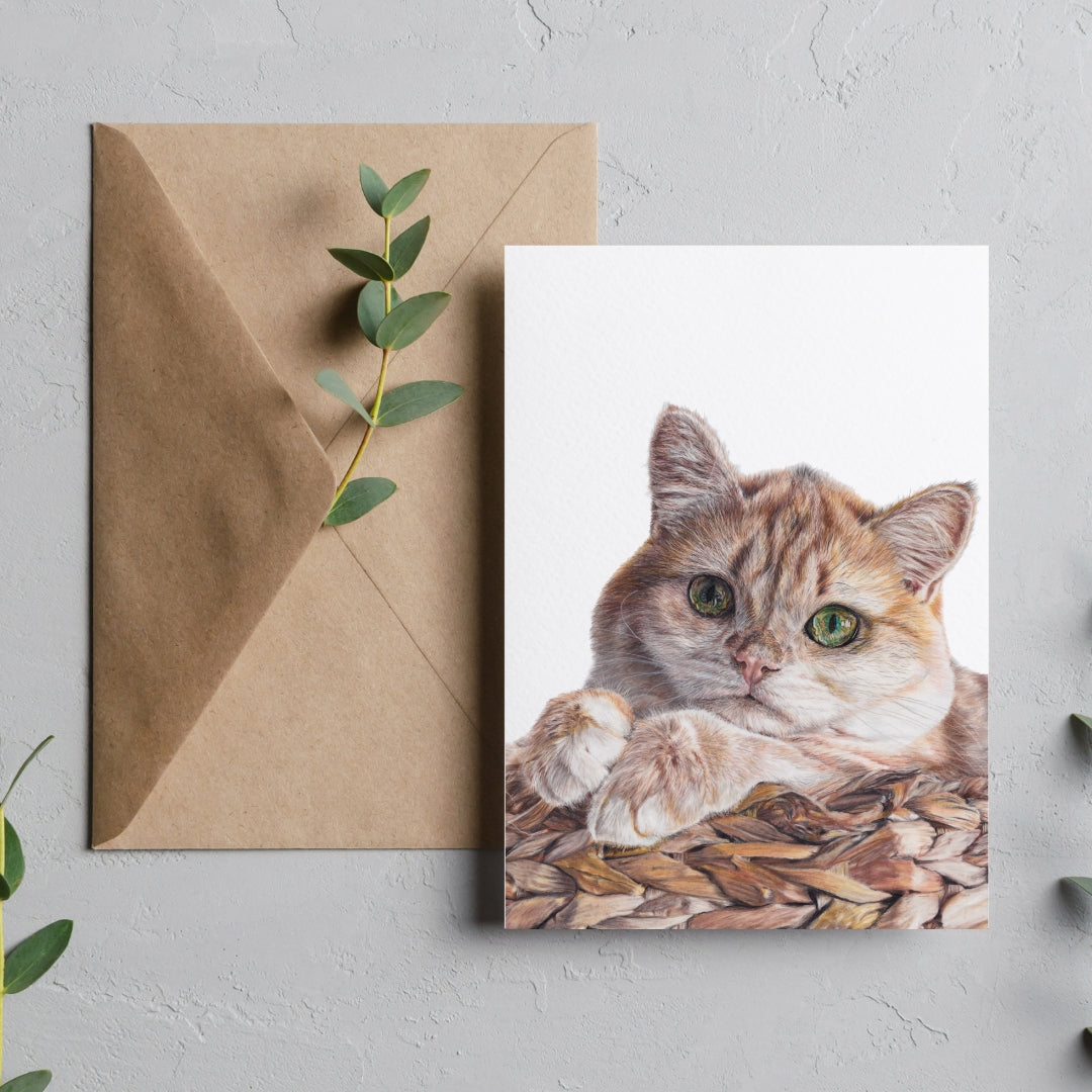 Cat in a Basket Greeting Card - Mix & Match Sale (Buy 4 for $20)