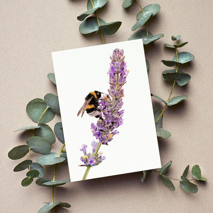 Bumblebee & Lavender Greeting Card - Mix & Match Sale (Buy 4 for $20)