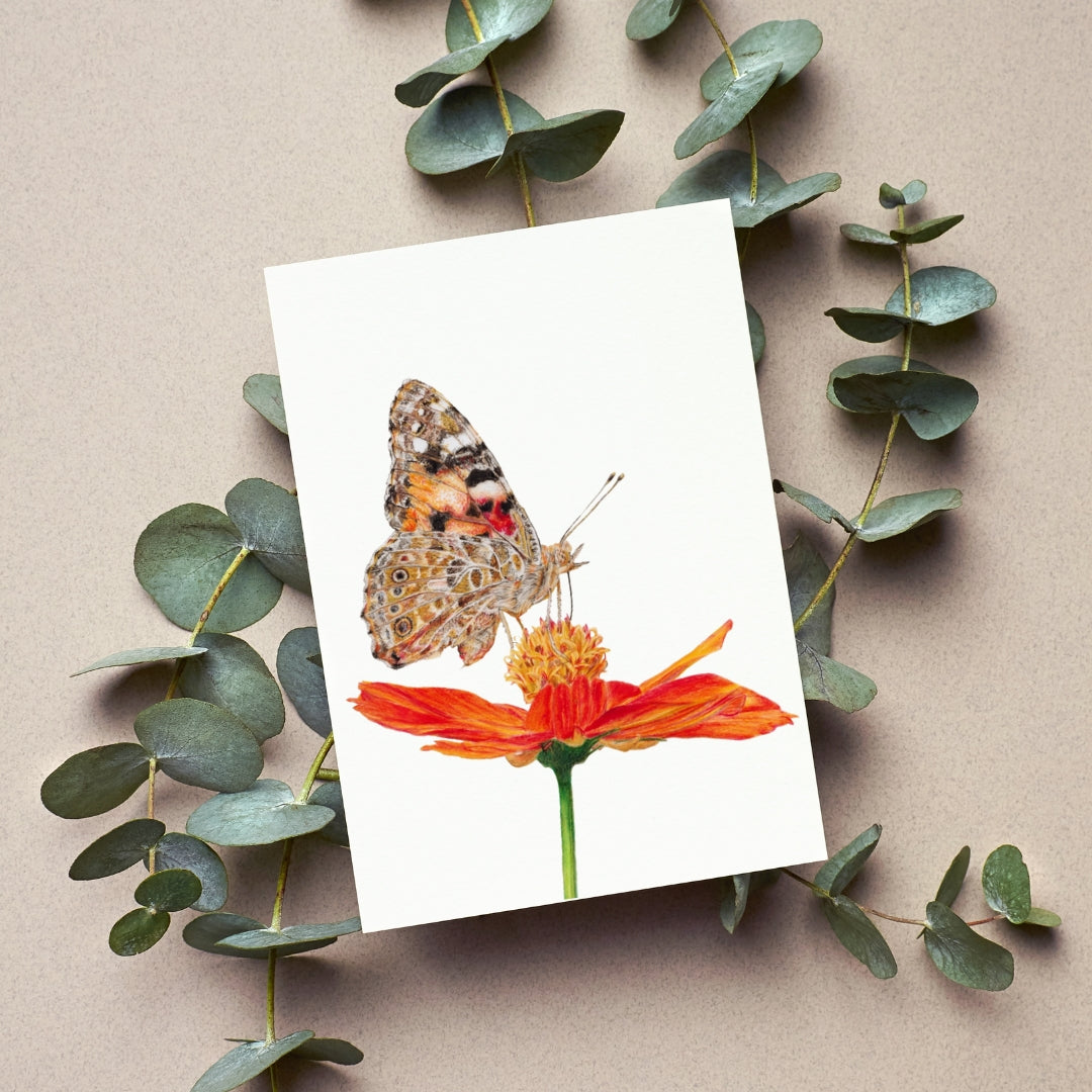 Butterfly Greeting Card - Mix & Match Sale (Buy 4 for $20)