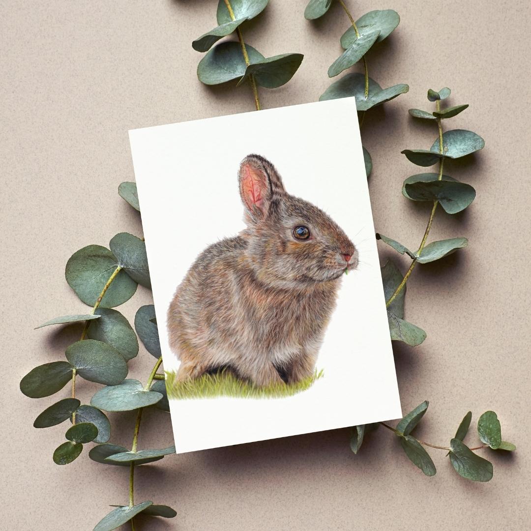 Bunny Greeting Card - Mix & Match Sale (Buy 4 for $20)