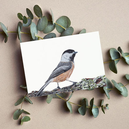 Chickadee Greeting Card - Mix & Match Sale (Buy 4 for $20)