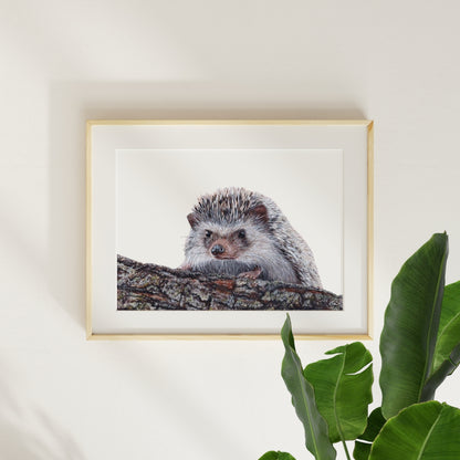 Giclée Fine Art Print - ‘A Sharp Curiosity’ MIX & MATCH 2 FOR $50 (8x10") AND 2 FOR $90 (11x14")