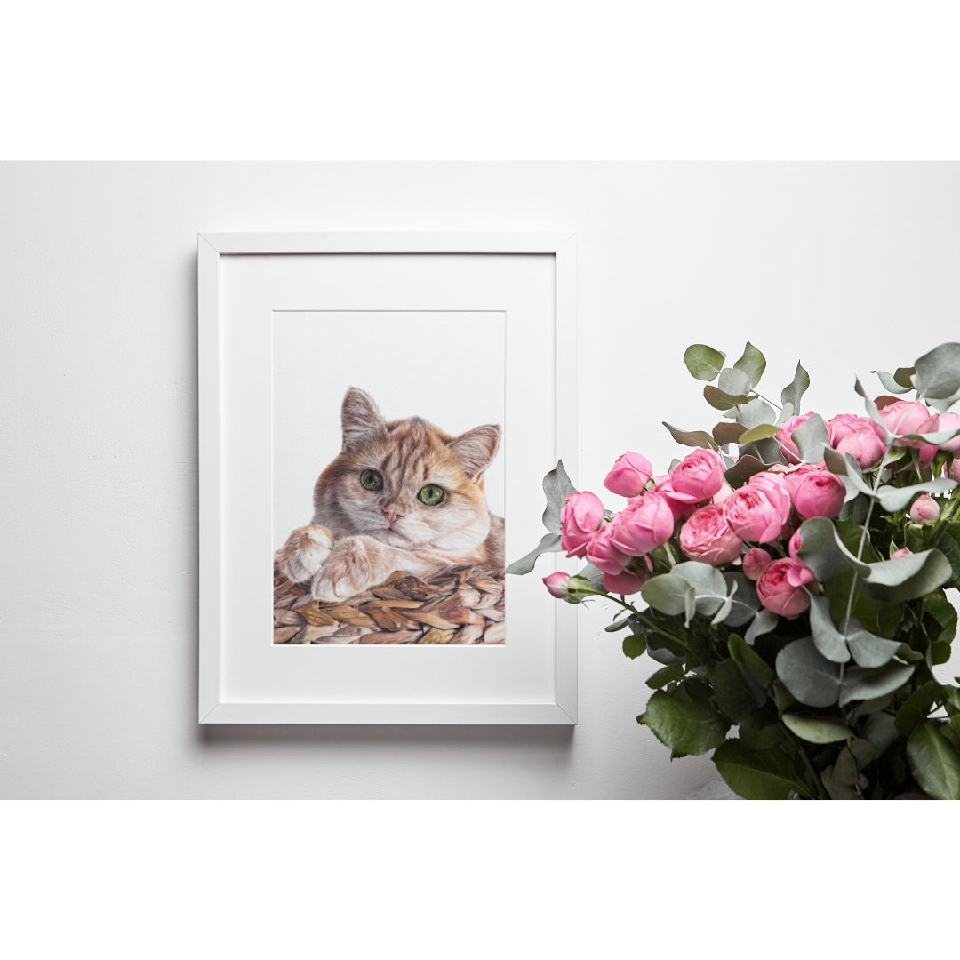 Giclée Fine Art Print - ‘Basket Case’ MIX & MATCH 2 FOR $50 (8x10") AND 2 FOR $90 (11x14")