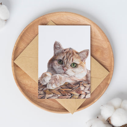 Cat in a Basket Greeting Card - Mix & Match Sale (Buy 4 for $20)