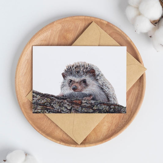 Hedgehog Greeting Card - Mix & Match Sale (Buy 4 for $20)