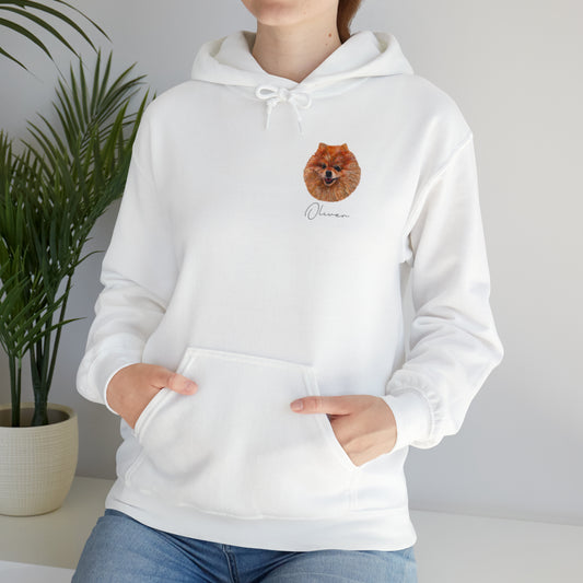 Unisex Hooded Sweater with Pet Portrait (Multiple Colours Available)