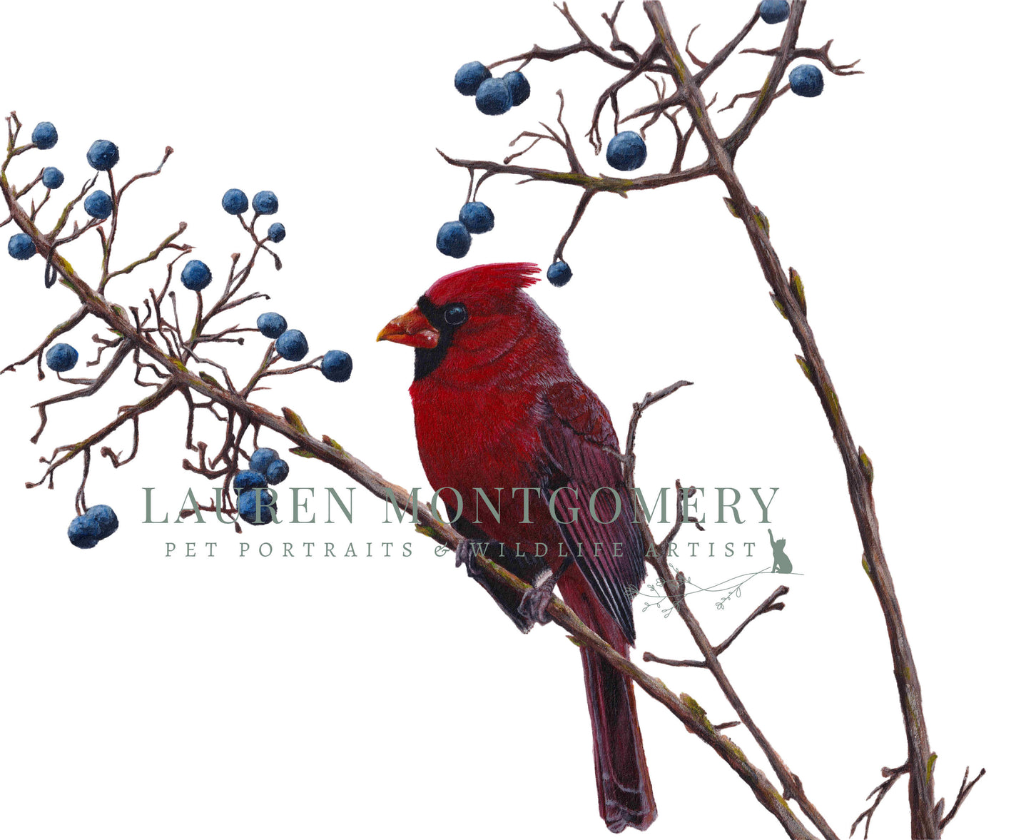 Giclée Fine Art Print - ‘Cardinal Rule’ MIX & MATCH 2 FOR $50 (8x10") AND 2 FOR $90 (11x14")
