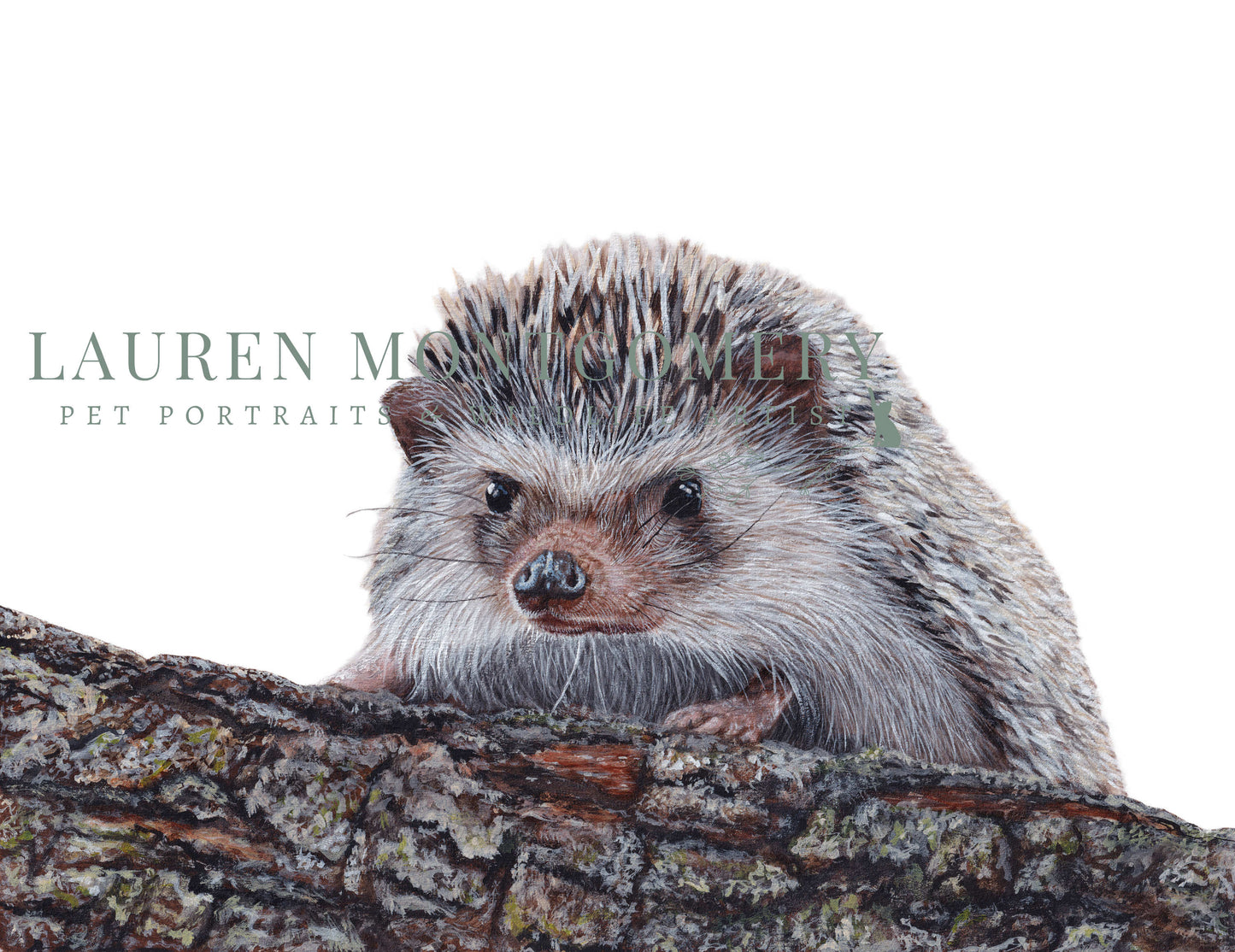 Giclée Fine Art Print - ‘A Sharp Curiosity’ MIX & MATCH 2 FOR $50 (8x10") AND 2 FOR $90 (11x14")